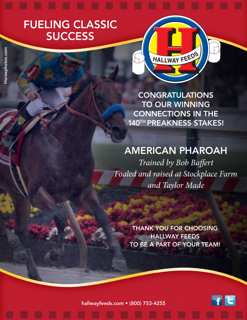 2015 preakness success