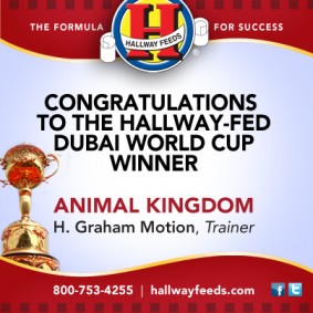 Dubai Congrats FB