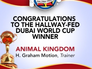 Dubai Congrats FB
