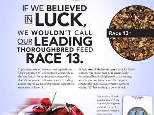 TDN Race 13 ad